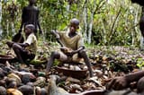 chocolate-child-slavery-ivory-coast-e1443059861665