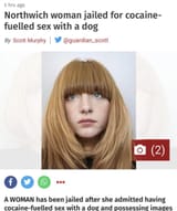 nojkos ideal wife