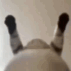 1635339518165