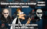 Łysi z kombi