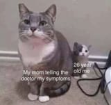 1637569273944