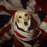 1380127711040