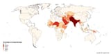 arranged-marriage-map