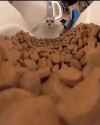1737760456940727_thumb.jpg