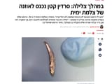 צילום מסך 2025-07-25 021804