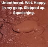 mudfrug