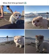 GvdkWm5akAE6Elz