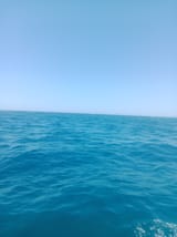 IMG_20250715_113256