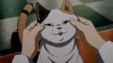 [SubsPlease] Nyaight of the Living Cat - 03 (1080p) [8C79165B].mkv_20250723_080018.222