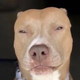 GqXAtLRWIAAzXj_