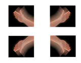 1753396673834209(1)