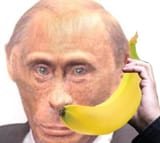 1739168768318481