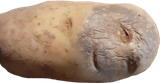 1700161566676617