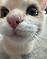 1727937891728379