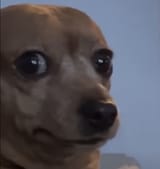 1745127708774347