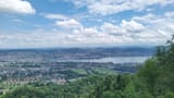 IMG_20200618_125333_1-a