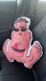 &#039;Nania in a car