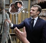 macron sausage inspection