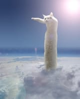 longcat
