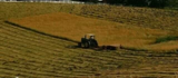 Screenshot 2025-07-25 at 17-20-59 I just wanna mow hay - Google Search