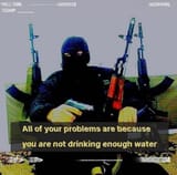 1739347636827817