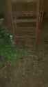 ssstwitter.com_1747096061409 (1)_thumb.jpg