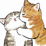 kot