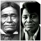 we wuz native