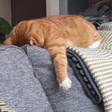 fFNVqG_M5DM