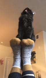GwtyXMoXkAAJJzc