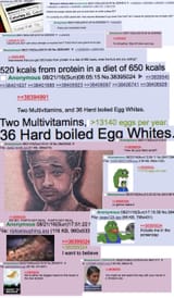 eggs per day