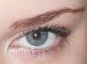 eyeye