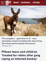 Thread 213140384 OP Image