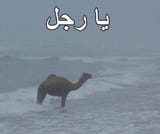 9c4dc38243d57021331d035709ce1c9b952be538e07f5f01de403e30aea5cdaf