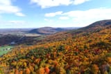 penn