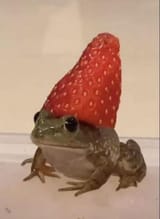 1704410772355273