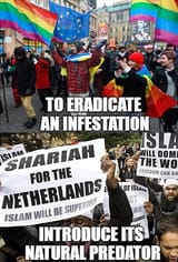 Based Muslims