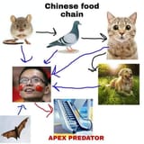chinese food chain china apex predetor