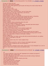 American toilet solution