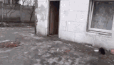 1744101303677438