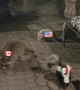 1748915183905461