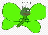 pepe Farfalla