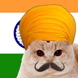 bharat cat