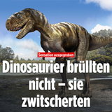 dinos