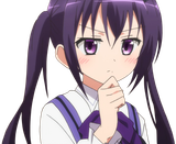55026866