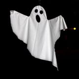 avatars-000194962217-hxelgz-t500x500