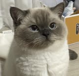 GwwDdEgXoAAYDjP
