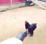 hmm