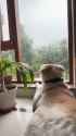 rapidsave.com_rain_washes_my_thoughts_away-uskx1yb1b6ff1_thumb.jpg