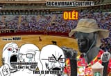 bullfights
